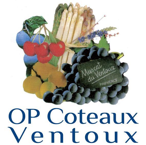 Logo OP Coteaux Ventoux
